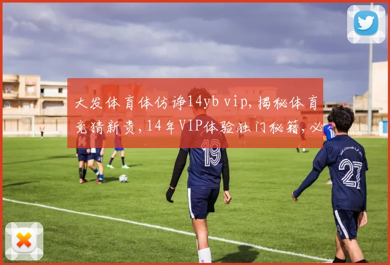 大发体育体仿诤14yb vip,揭秘体育竞猜新贵,14年VIP体验独门秘籍,必看