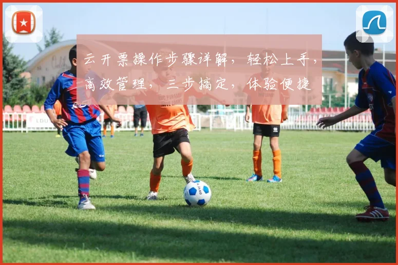 云开票操作步骤详解，轻松上手，高效管理，三步搞定，体验便捷